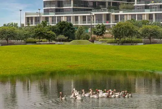 Loreto at Damac Hills Dubai - 1