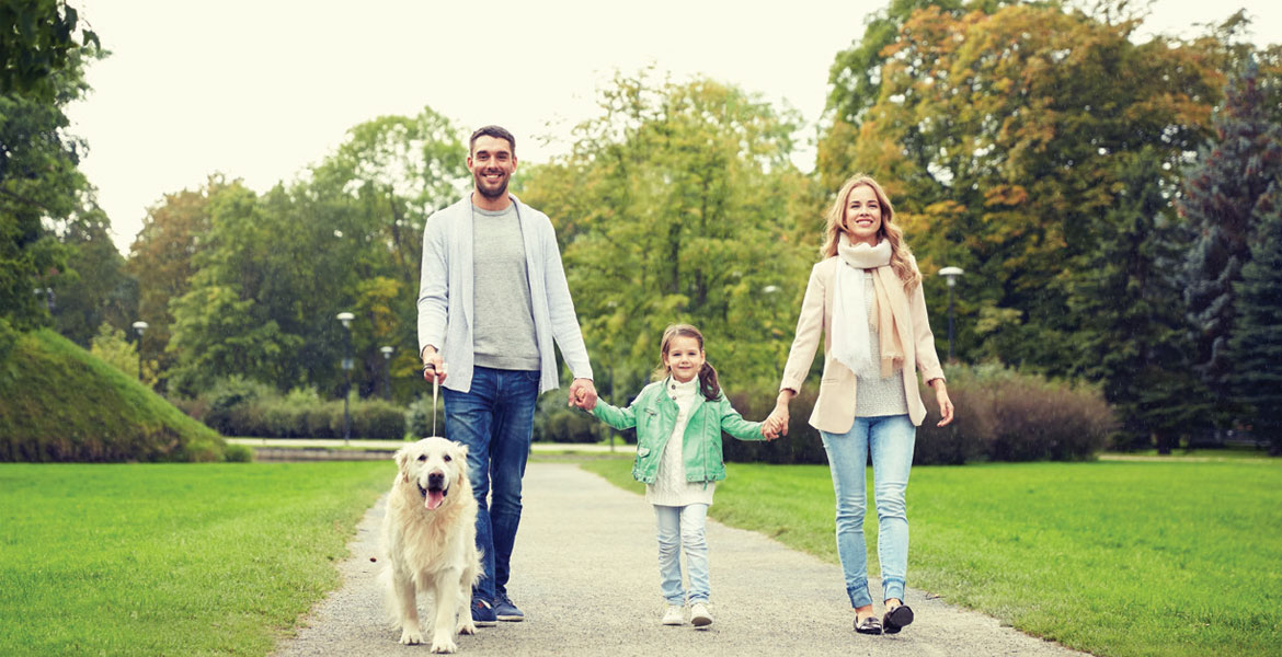 Villanova Amaranta Phase by Dubai Properties at Dubailand, UAE - 3