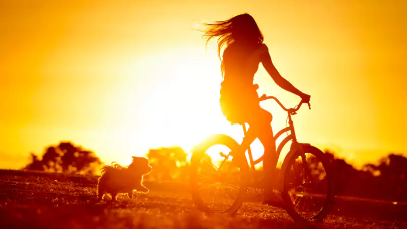 Belair Villas at Damac Hills, Dubai | The Trump Estates - 6