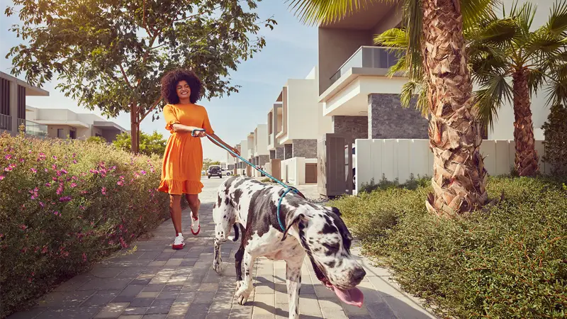 The Dahlias at Yas Acres, Abu Dhabi - 4