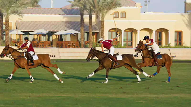 Camelia Townhouses at Arabian Ranches 2, Dubai | EMAAR - 2