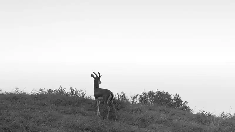 Saadiyat Reserve Land Plots by Aldar at Saadiyat Island, Abu Dhabi - 4