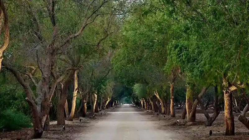 Superior Land Plots at Aljurf Gardens | IMKAN Properties - 3