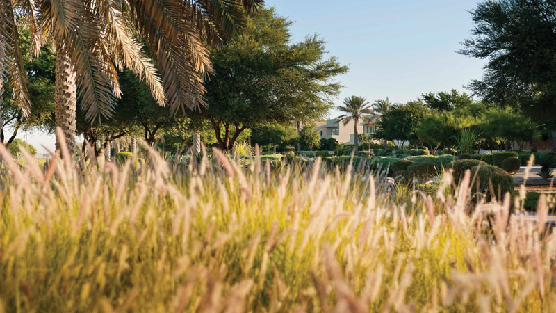 Reem Townhouses at Arabian Ranches 2 - 8