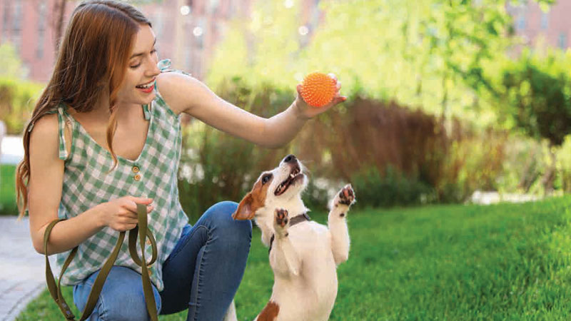 The Highbury by Ellington Properties at MBR City, Dubai - 7