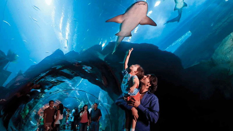 Emaar Burj Vista at Downtown Dubai - 2