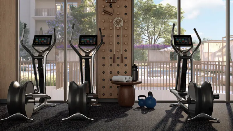 Mangrove at Creek Beach (DCH) Dubai - 1